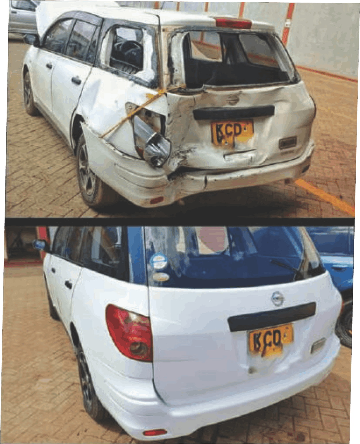 Professional Service